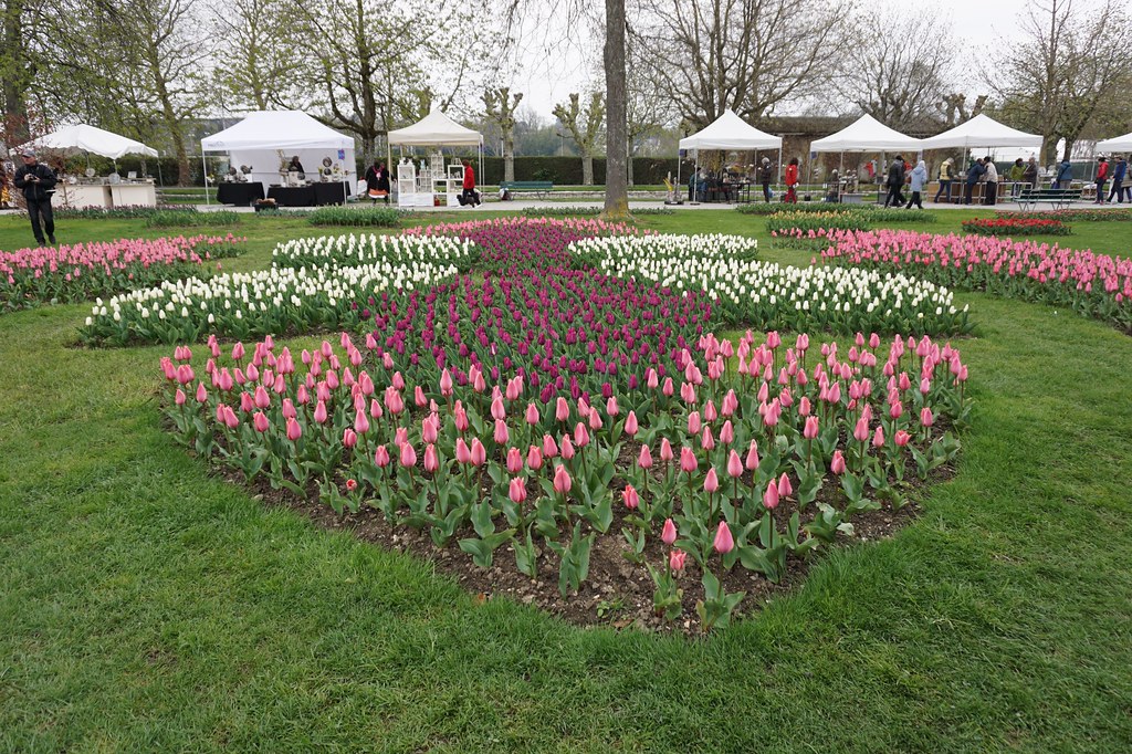 Tulip Festival sineid2009 Flickr