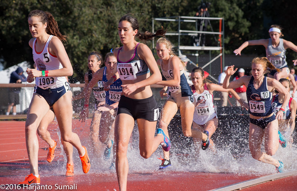 Stanford Track & Field Invitational 2016 steeplechase Sy… Flickr