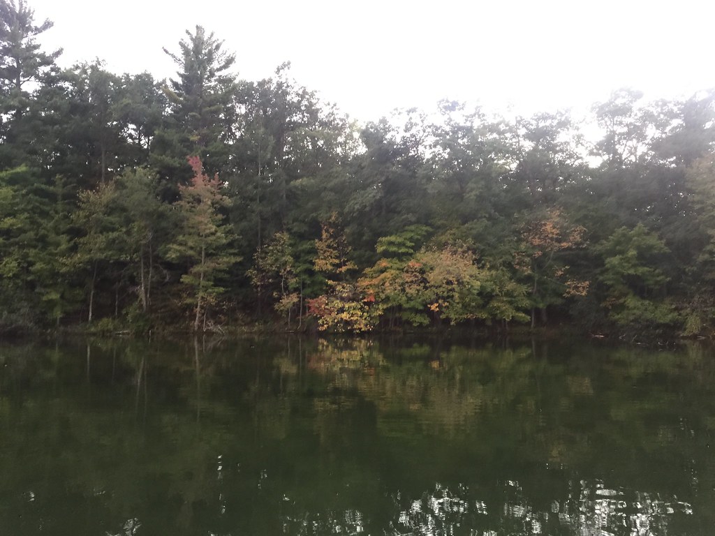 Wisconsin Lion's Camp; Rosholt, Wisconsin 2015 tofightfortheright