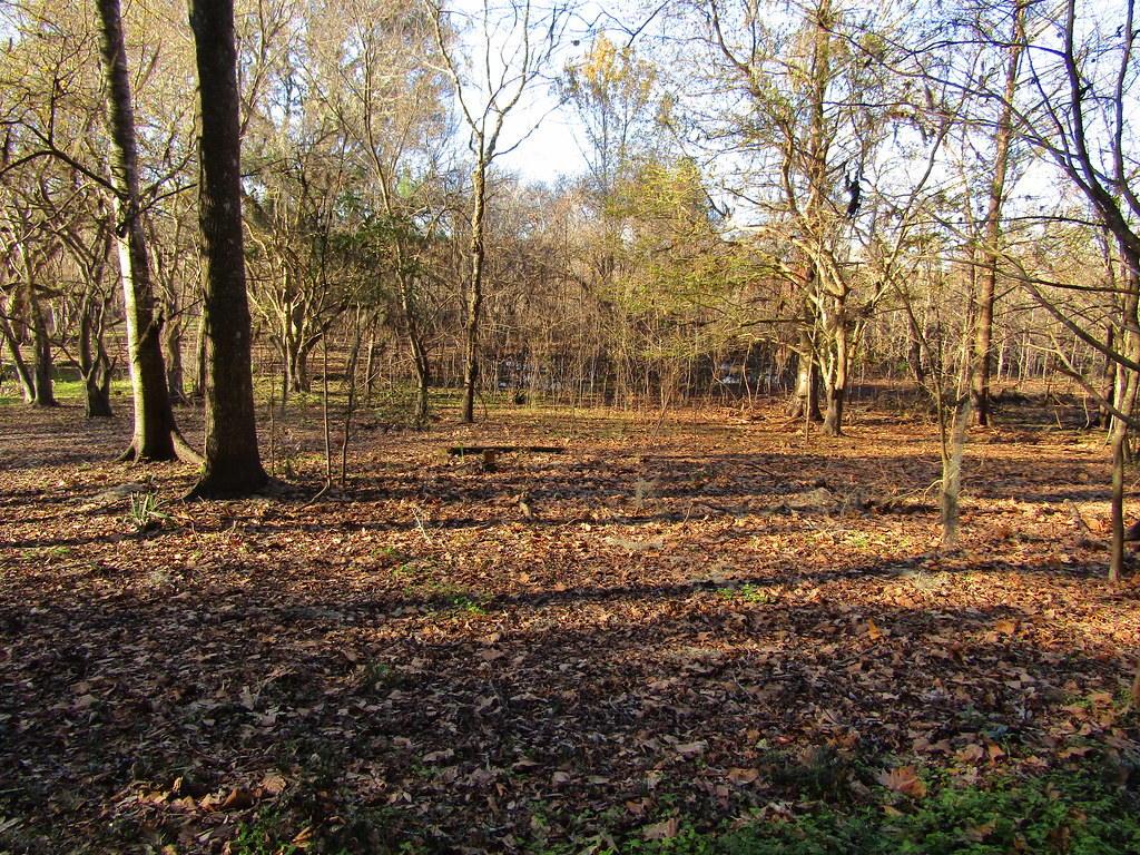 Woods Kanapaha Botanical Gardens, Gainesville, Florida, US… Flickr
