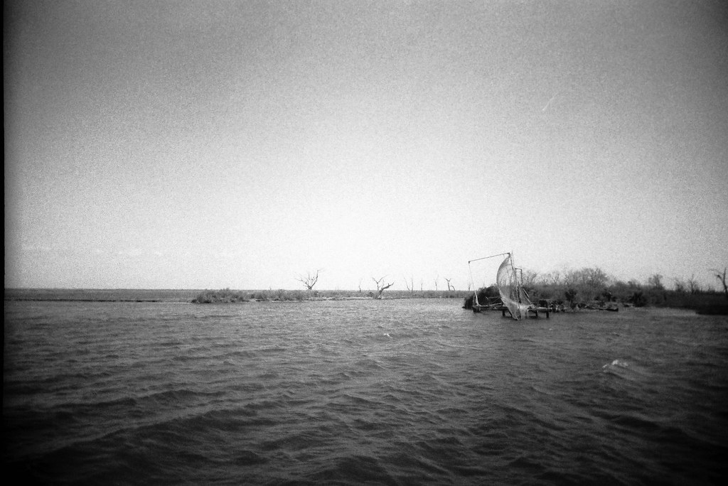 PointeauxChenes Sarah Flickr