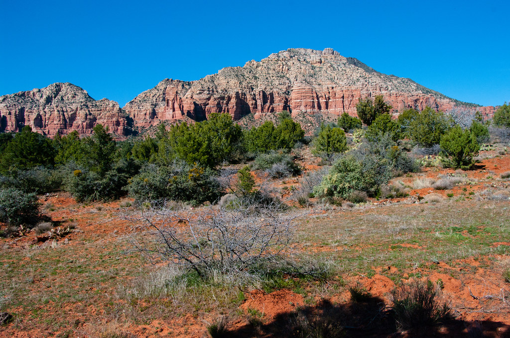 Jacks Canyon Trail No. 55 Jacks Canyon Trail leads up the … Flickr