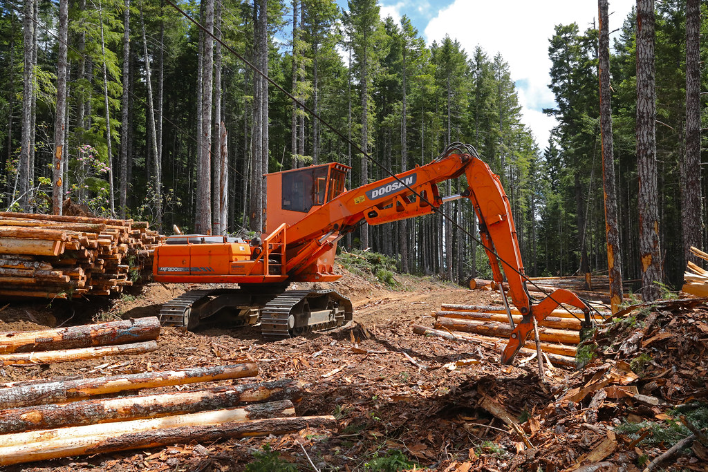 Forestry Tour with Kate MacGregor Deputy Assistant Secr… Flickr