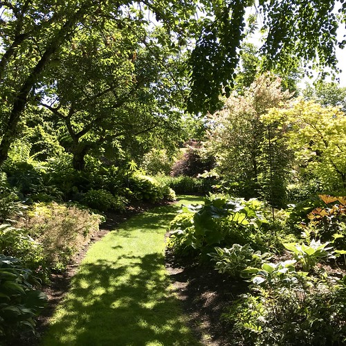 Sebright Gardens Hosta Garden & Nursery Joan Amero Flickr