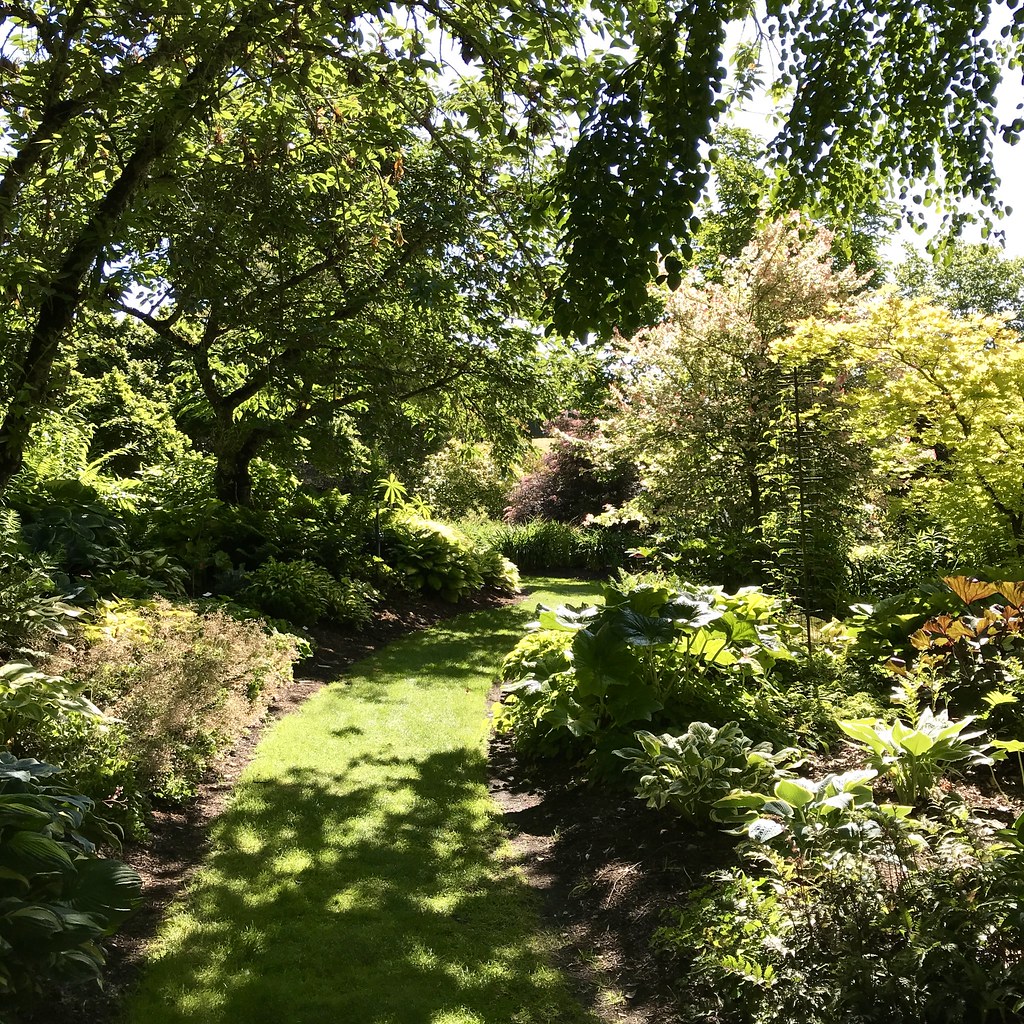 Sebright Gardens Hosta Garden & Nursery Joan Amero Flickr