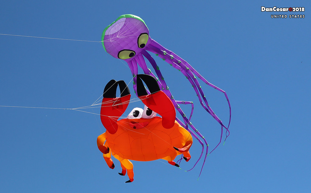 Kites in Kansas City, Missouri IMG_5437 copy danniepolley Flickr