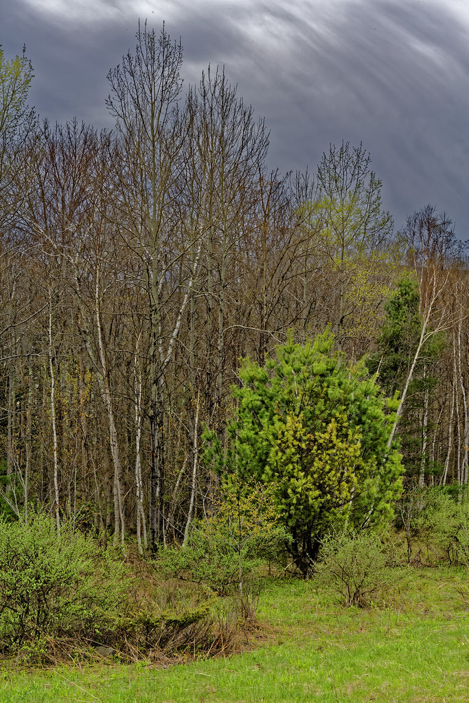 _MG_0070_DxO Near Colgate Lake, East Jewett, NY Carroll DeWeese