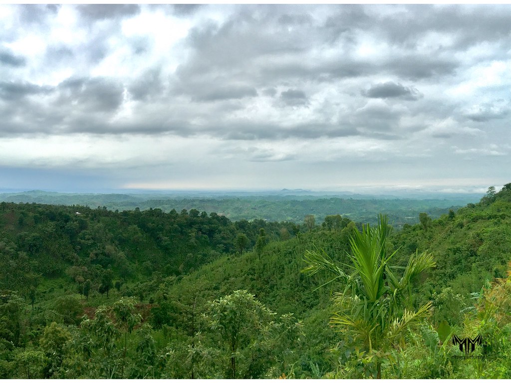 West Garo Hills,Tura , Meghalaya, INDIA Mayank Flickr