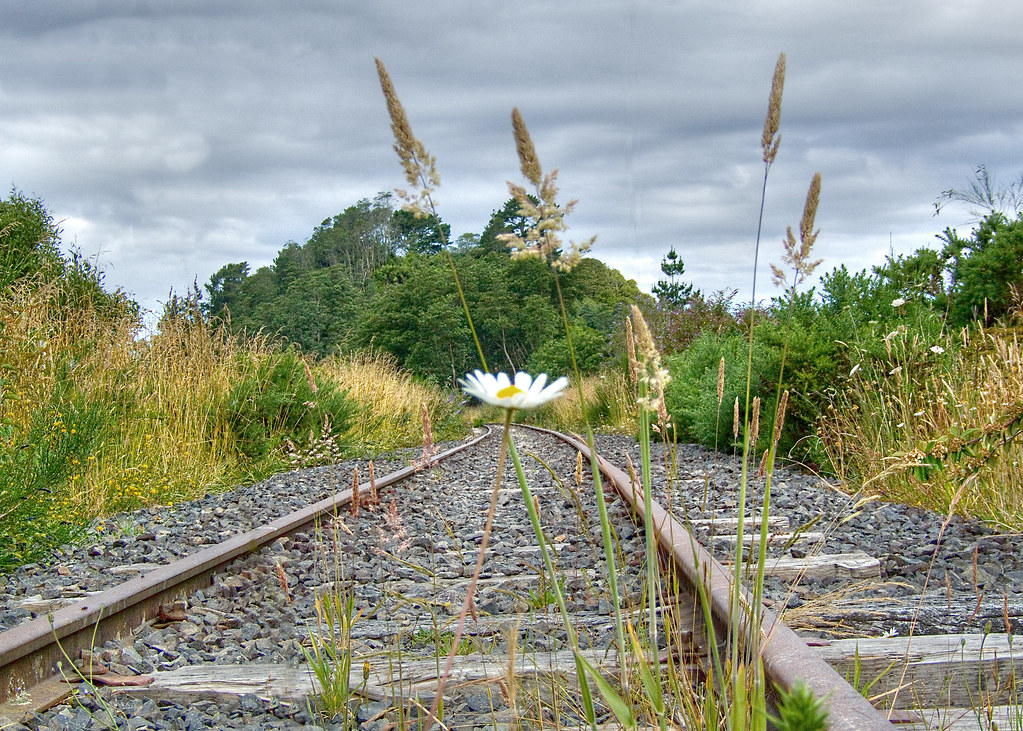 closed line at Ngatira Road, South Waikato, New Zealand. I… Flickr