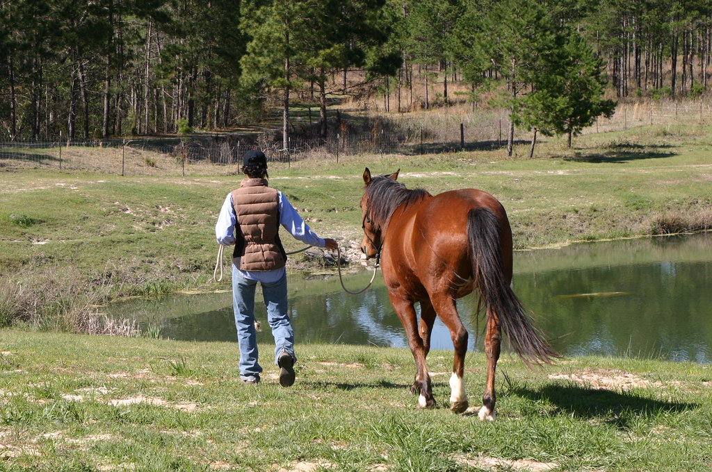 you can lead a horse to water... Amanda Flickr
