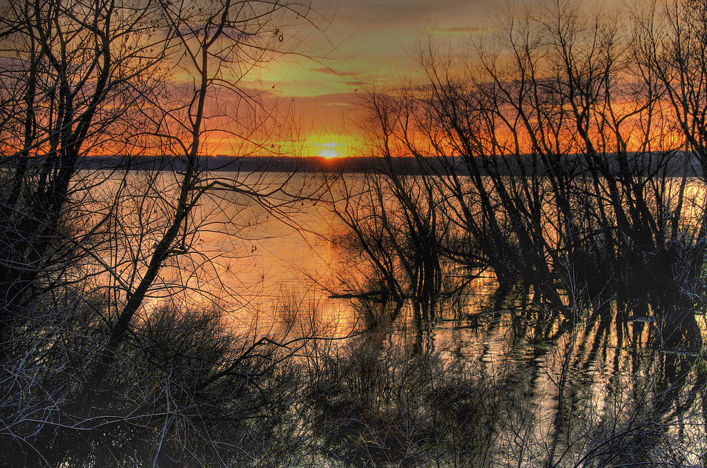 Sunrise at Chatfield Lake HDR Photo of a swampy grove at C… Flickr