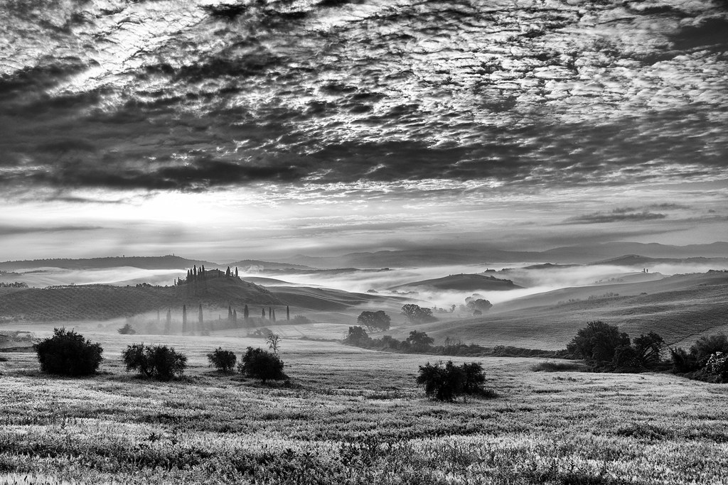 Belvedere len williamson Flickr