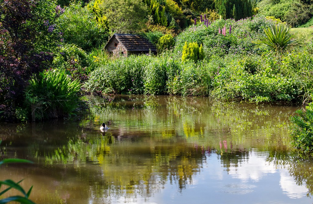 Kia Ora Gardens, Cullompton Alison Day Flickr