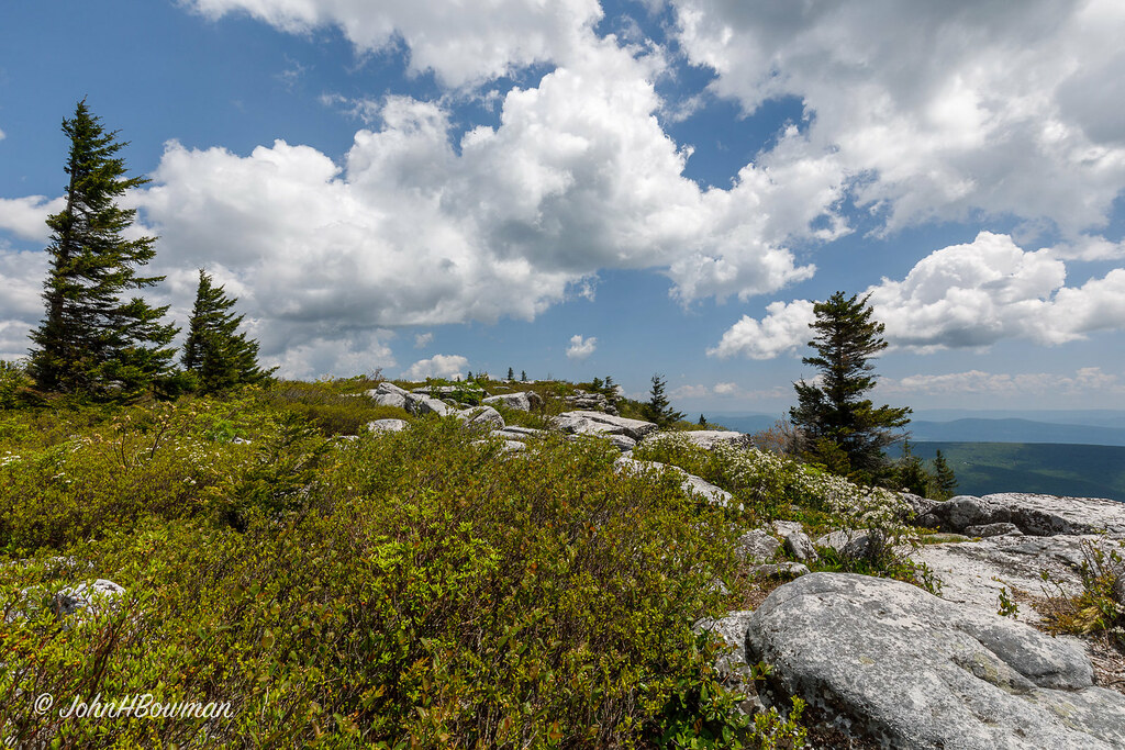Elevation of Maysville, WV, USA Topographic Map Altitude Map