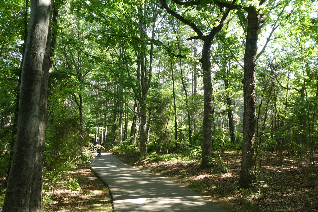 North Carolina Cornelius Jetton Park (26) Vernon Brad Bell Flickr