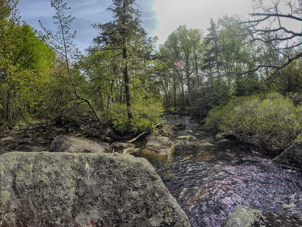 Nichols Lake Trail A scenic, easy hike a short drive from … Flickr