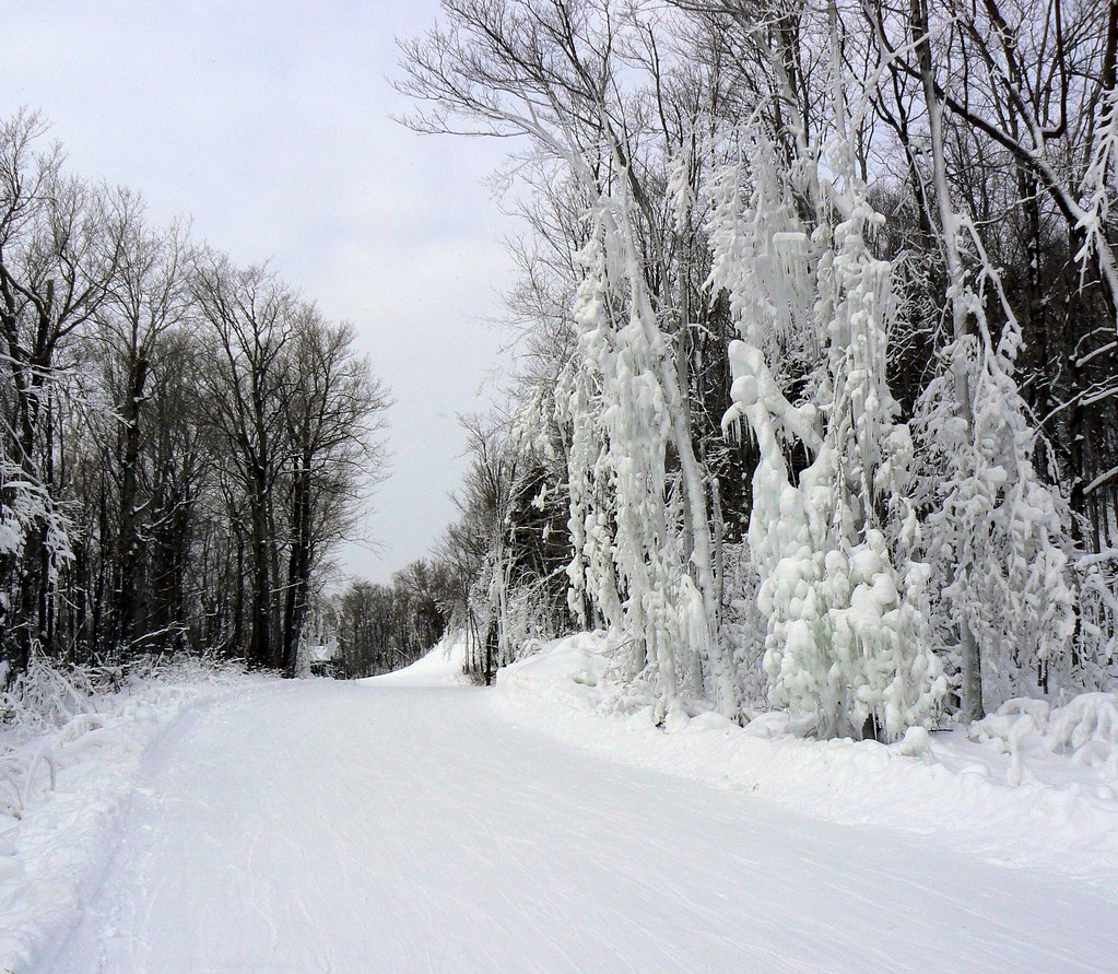 January in Vermont Skiing was a bit brutal last weekend, t… Flickr