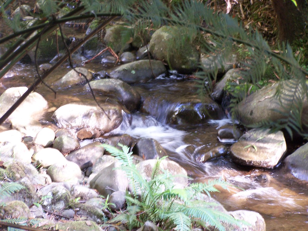 creek Badger Weir, Healesville Steph Flickr