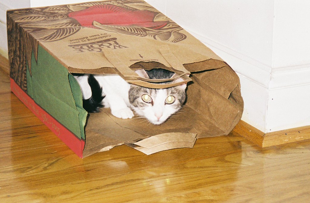 Mkitty in Bag Only Whole Foods paper bags are good enough… Flickr