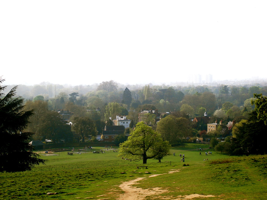 Hill at Petersham Gate, Richmond Park Mark Brady Flickr