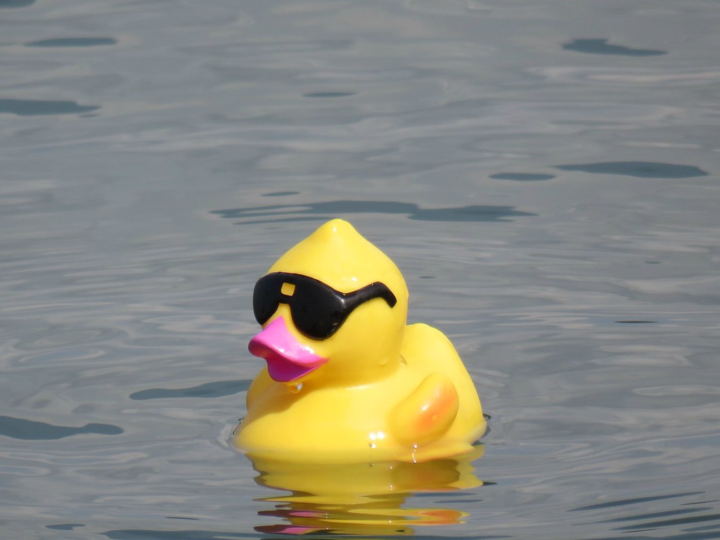 Rubber Duck Derby 2018 Rubber Duck Derby 2018 City Park Mi… Flickr