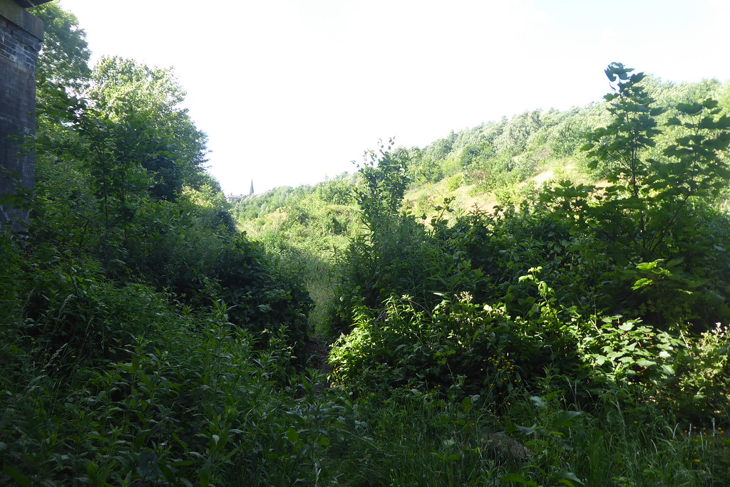 Old railway cutting at Heckmondwike, seen from Walkley Lan… Flickr