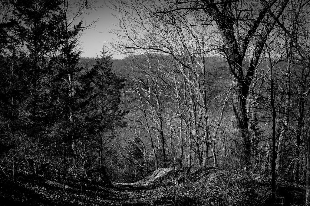 Elevation of Shire Cir, Highlandville, MO, USA Topographic Map