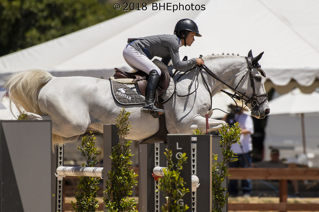 Temecula Valley National Horse Show III 10,000 Open 1.3… Flickr