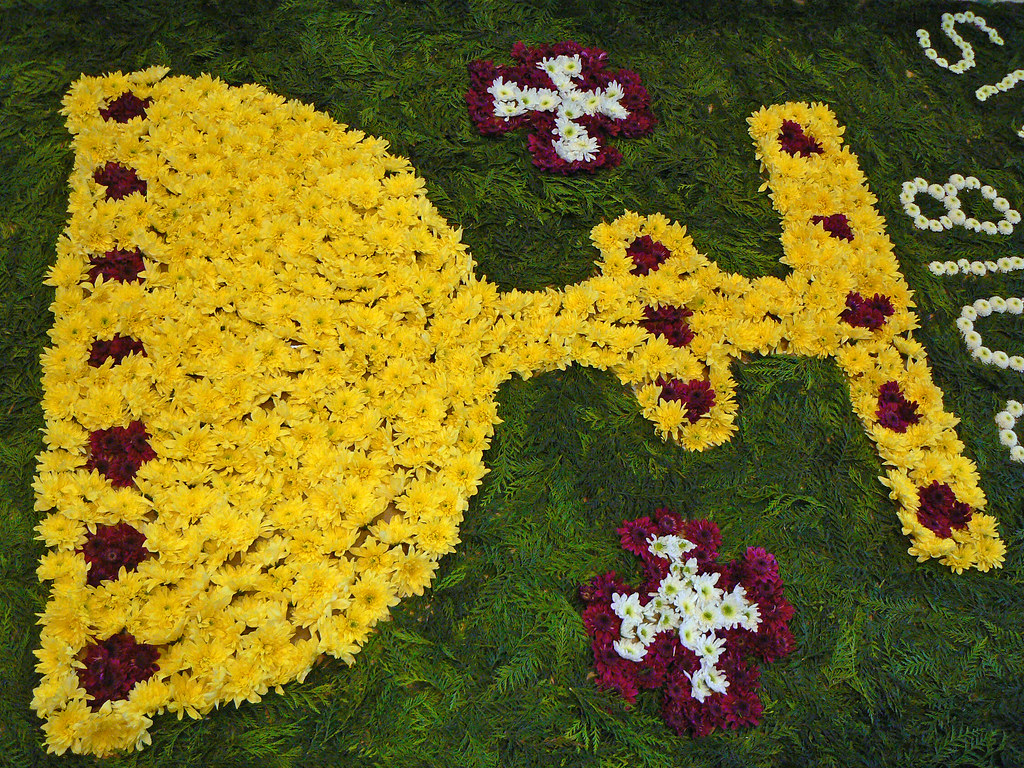 Corpus Christi flowers 2018 Part of the 2018 'carpet of fl… Flickr