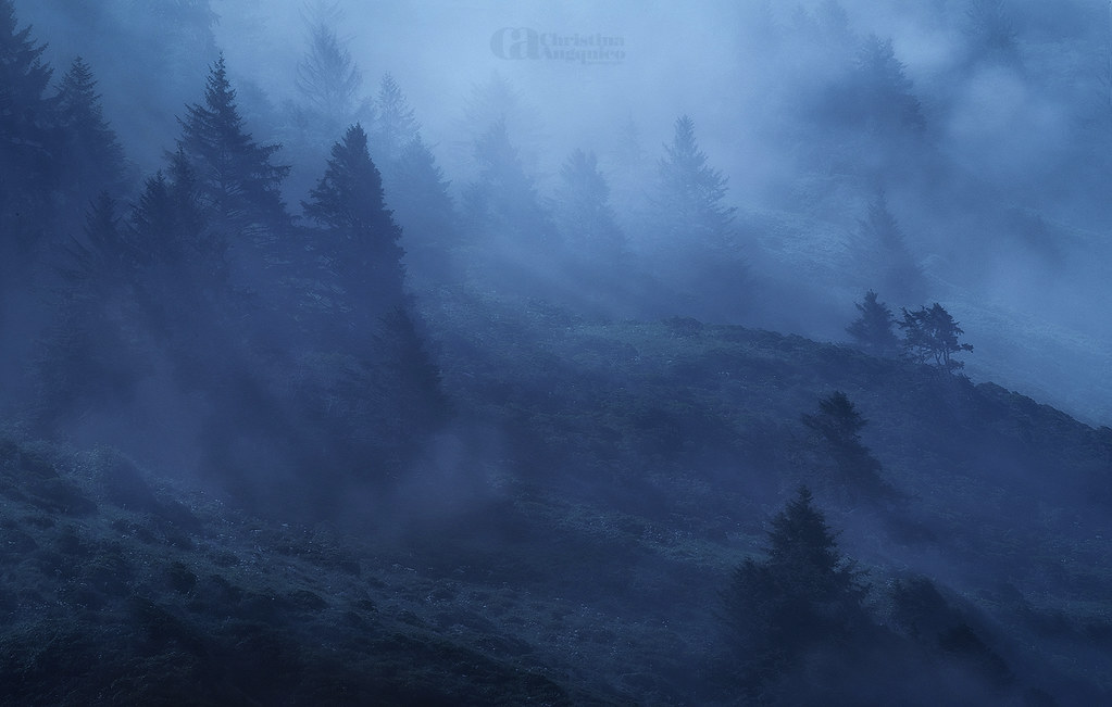 High Bluff Overlook Driving back from the Redwoods last Mo… Flickr