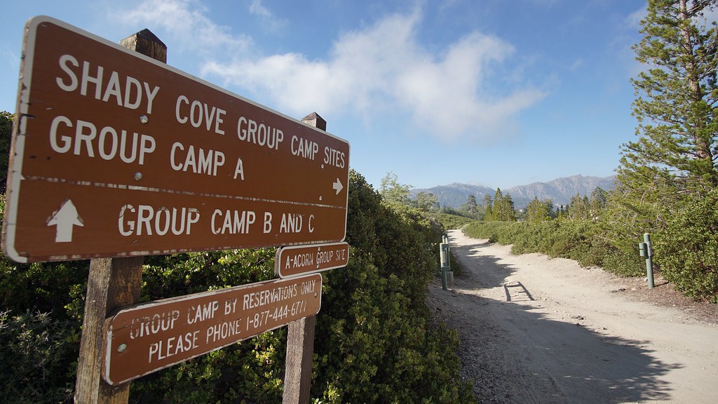 Shady Cove Group Campground (Photo by Zach Behrens/USFS) Flickr