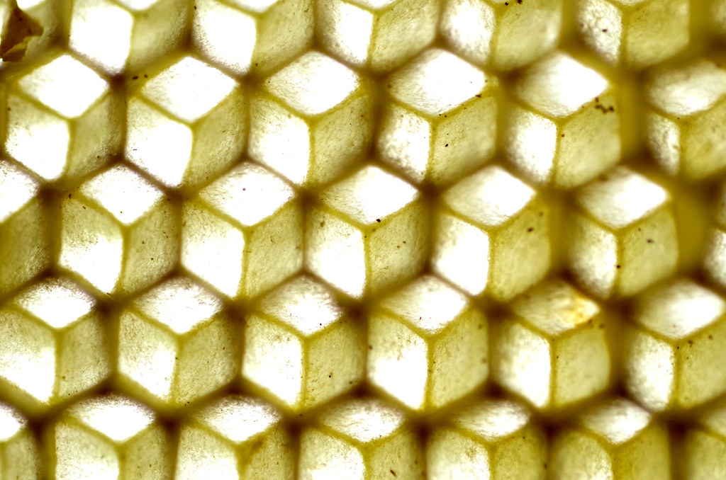 Optical illusion Charlotte ParenteauDenoel Flickr