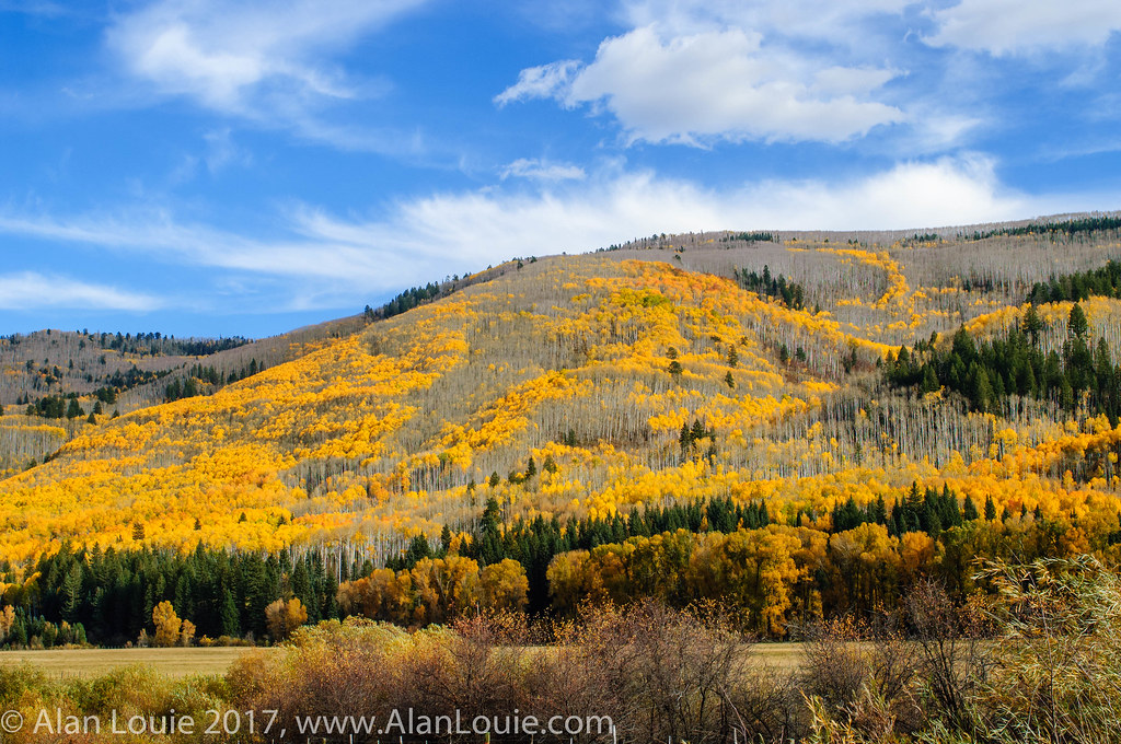 Elevation of Dolores, CO, USA Topographic Map Altitude Map