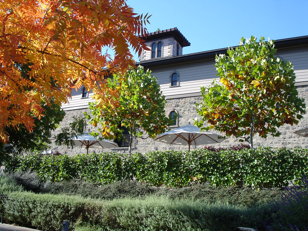 DSC02815, Beringer Vineyards, Napa Valley, California, USA… Flickr