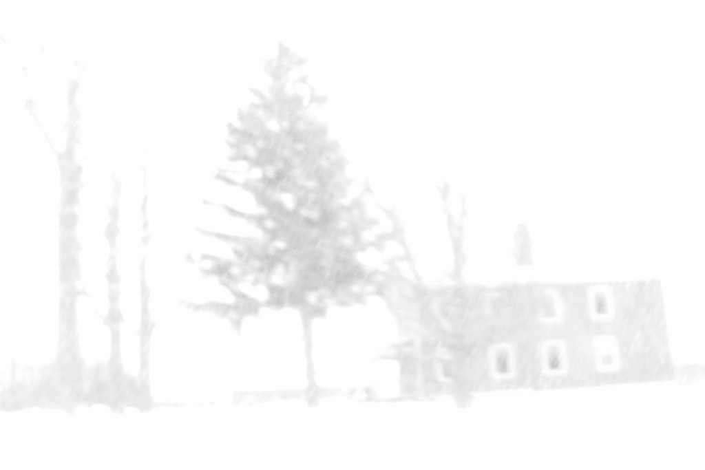 Tree and House David Porter Flickr