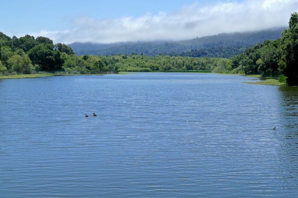 Searsville Lake Searsville Lake backed by fog spilling dow… Flickr