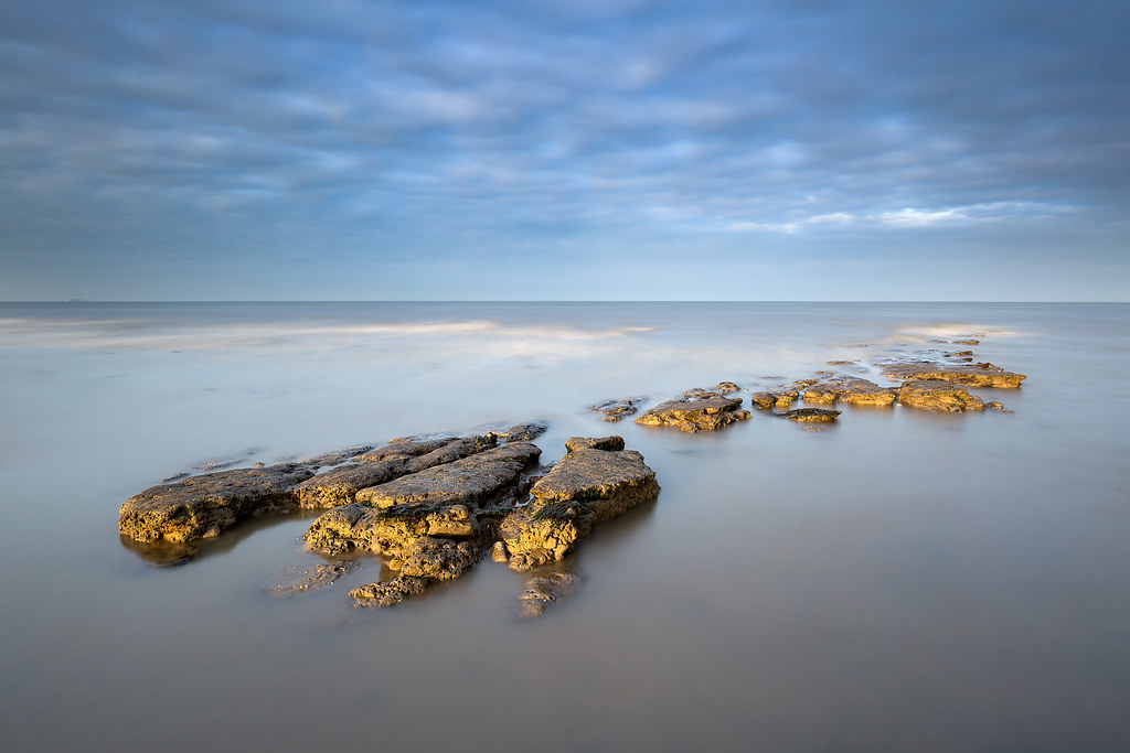 walton gold One from the other evening at Walton on the Na… Flickr