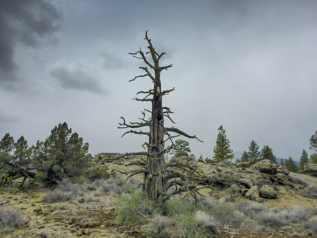 Devil's Garden, Sprague River, Oregon Michael (a.k.a. moik