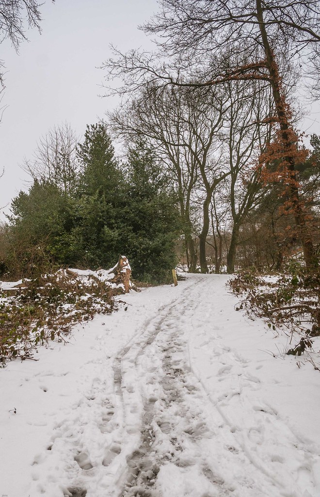 Sandwell park Flickr