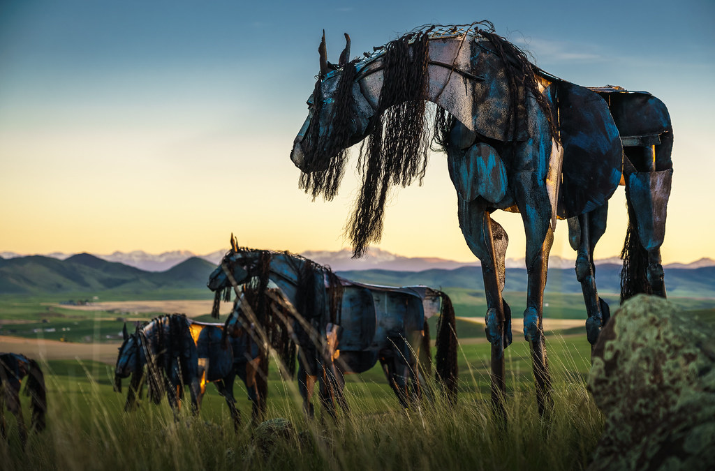 Bleu Horses by Jim Dolan Near Three Forks Montana Flickr