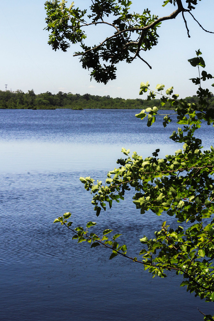 Pond 25 Cassidy Bates Flickr