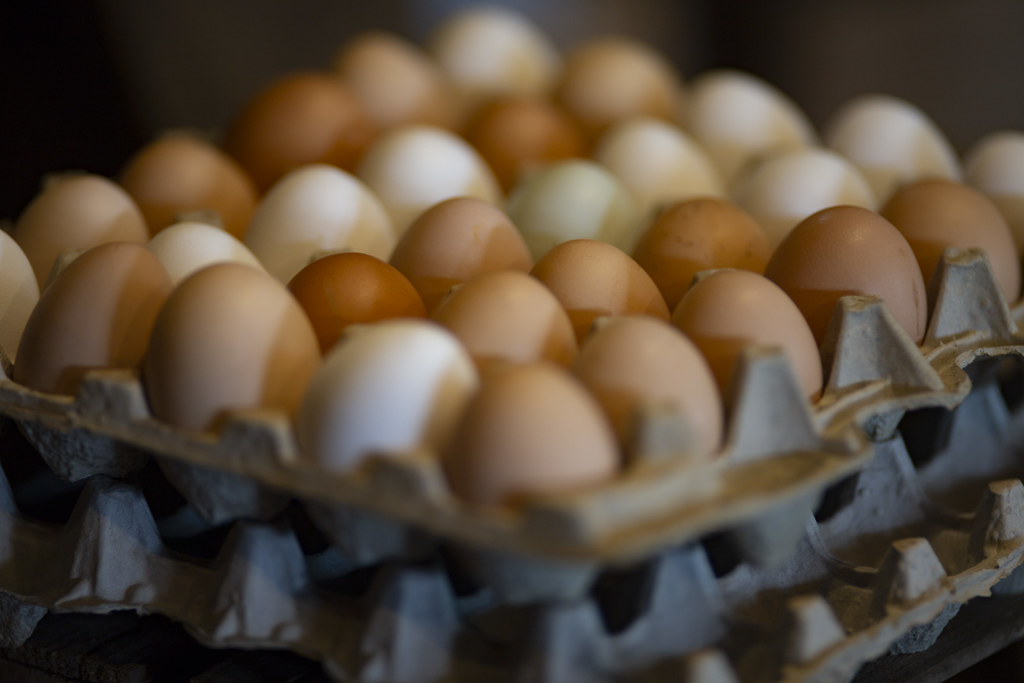 Cherry Valley CoOp Adam Freidin Flickr