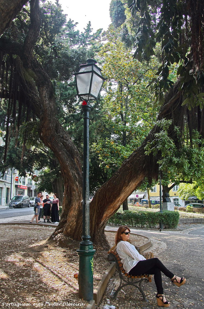 Jardim Alfredo Keil Lisboa Portugal 🇵🇹 a photo on Flickriver
