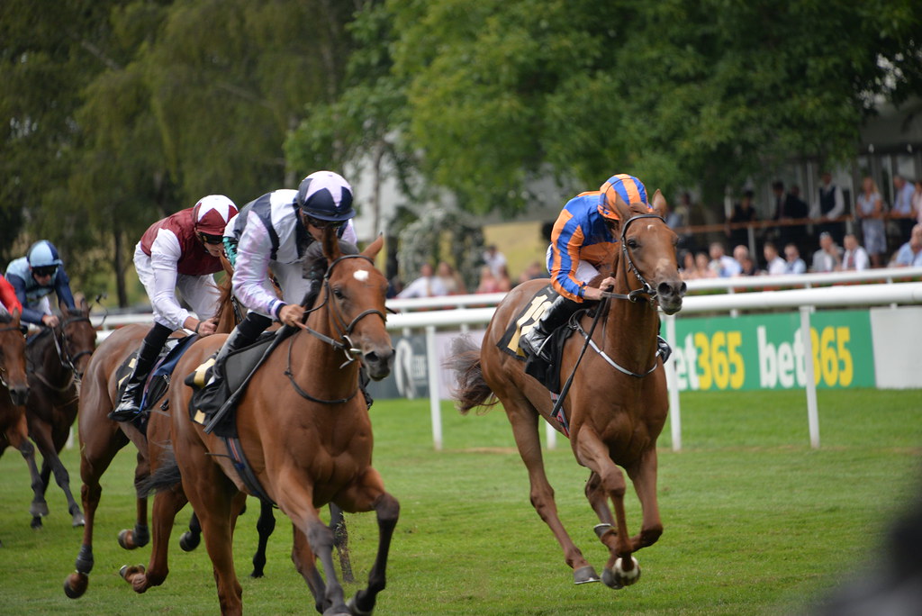 Newmarket horse race July festival Newmarket, UK. Just bef… Flickr