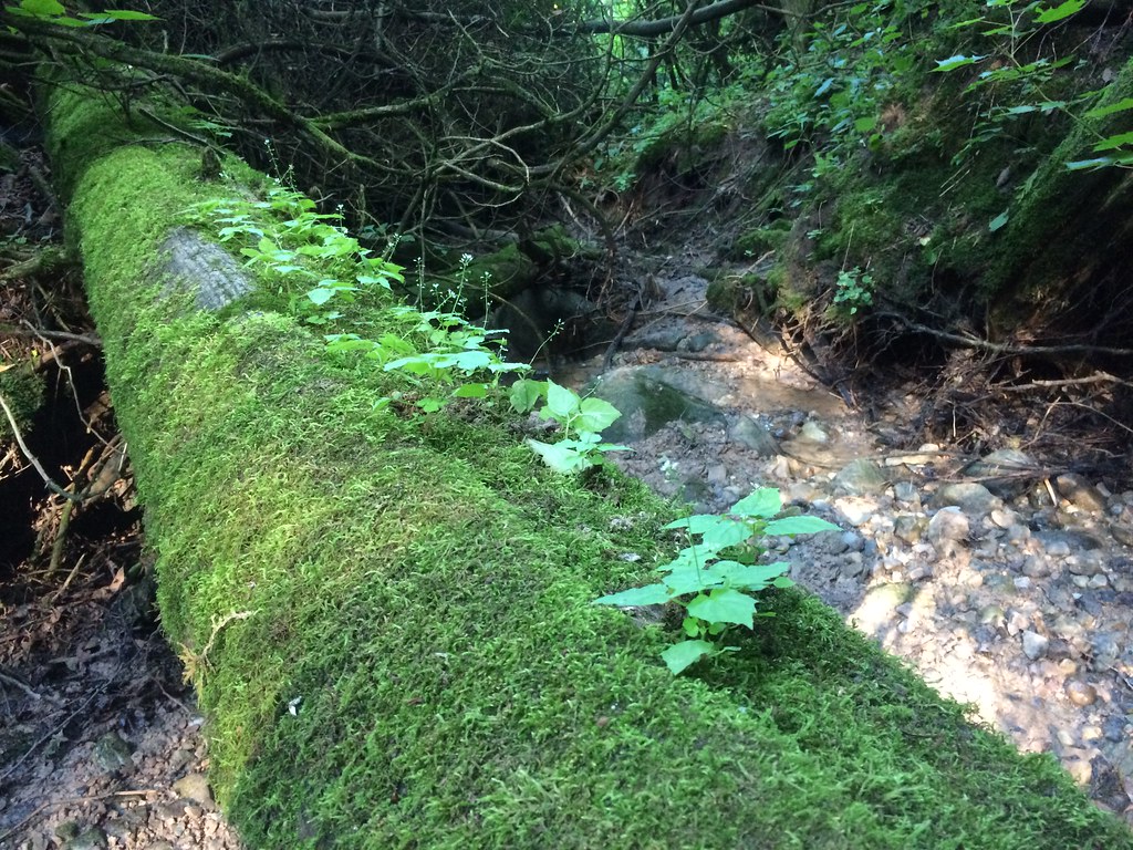 (12) Clay Bluffs Cedar Go… Flickr