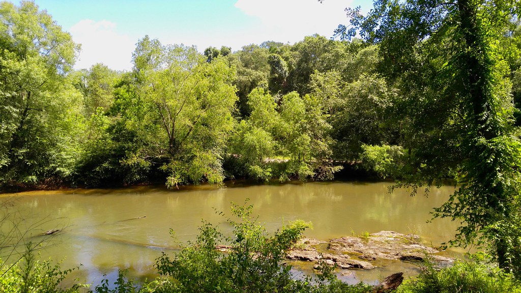 Tickfaw River Habitat shot for eBird list Van Remsen Flickr