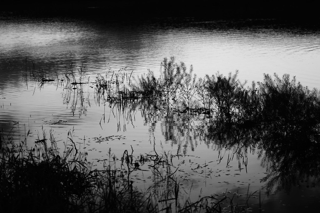 6689 Looking North off the Wakonda Alcester, Rd.....there… Flickr