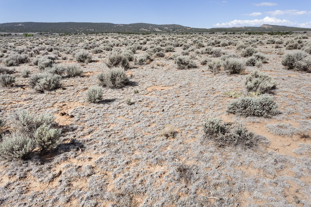 Dry Creek Basin Dry Creek Basin, southwest of Dry Creek, 3… Flickr
