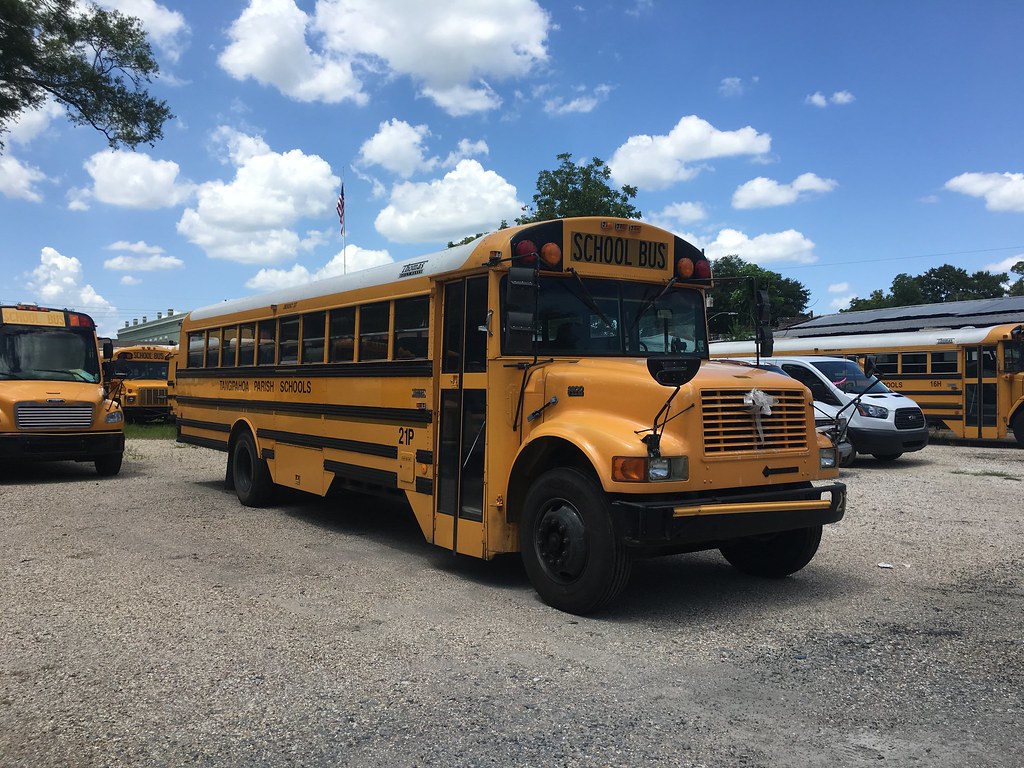 Tangipahoa School Transportation at Jeffery Wood blog