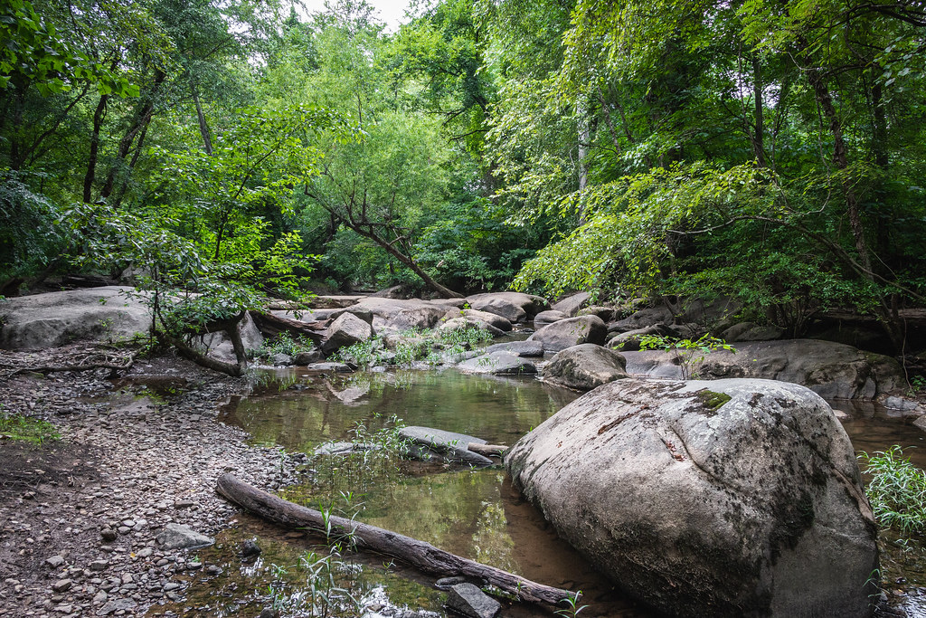 Reedy Creek, Richmond VA Adam Williams Flickr